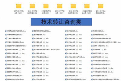 技术服务类合同范文网络信息应用IT软件开发支持咨询服务协议模板